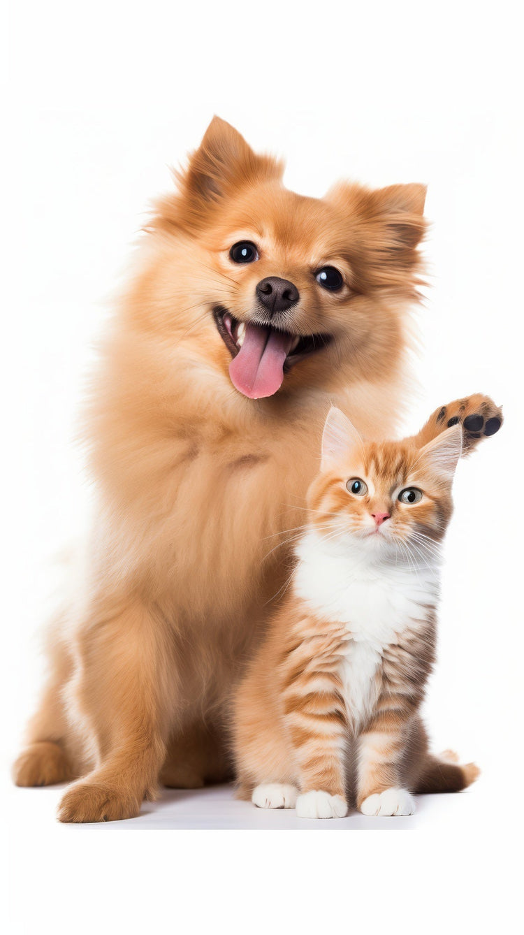 PET SUPPLIES