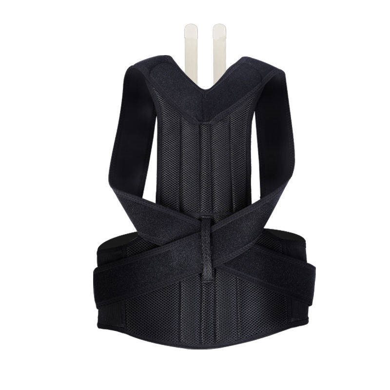SpineAlign™ Premium Posture Corrector | Ergonomic Back Support & Spine Brace